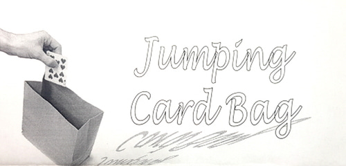 점핑카드 백  Jumping Card Bag