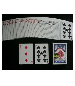 투웨이 포싱덱(파랑) 두가지 카드 모음